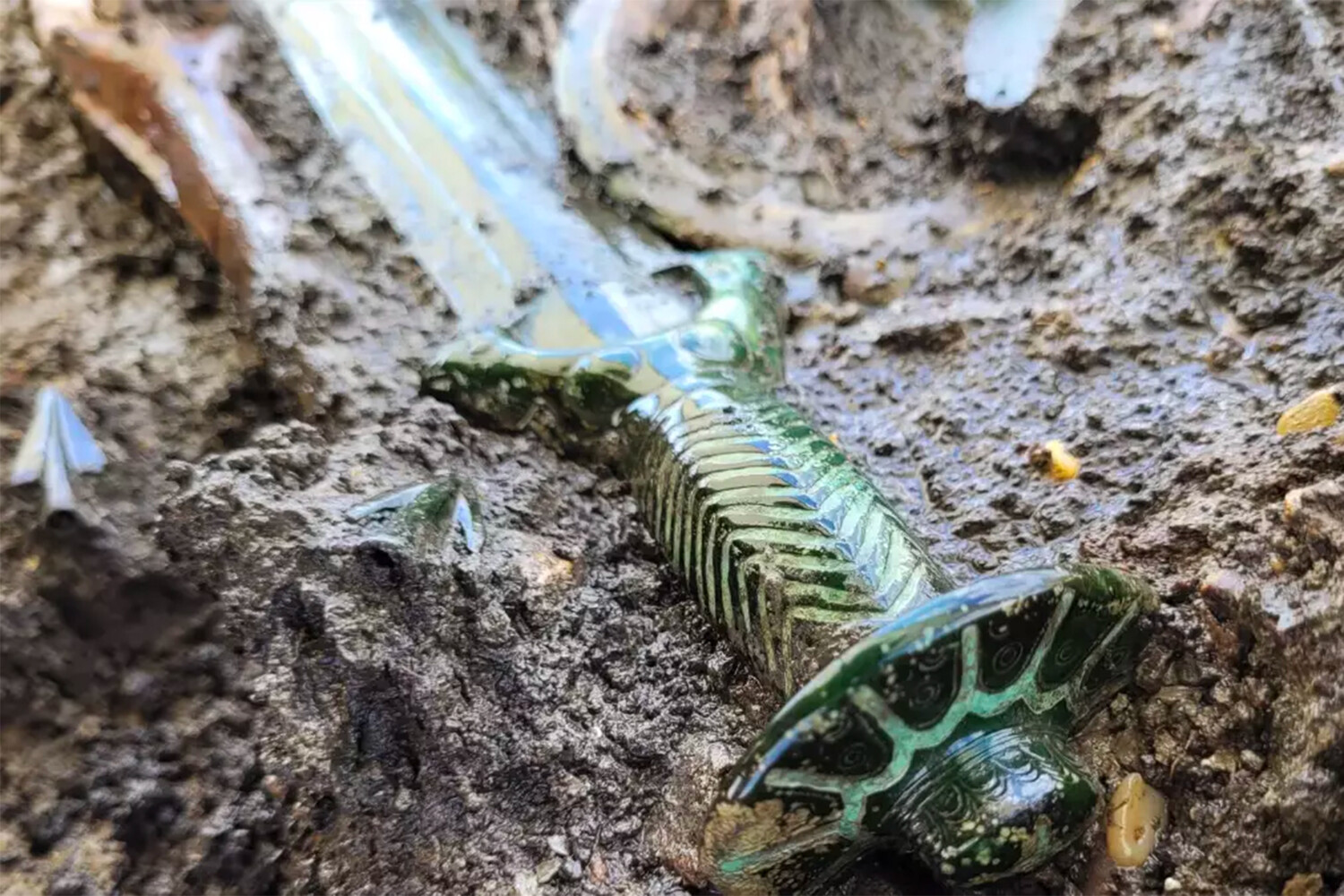 Уникальные мечи кельтов и наследие Рамсеса II раскрывают тайны прошлого-0