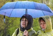 В Москве на ВДНХ отмечено рекордное превышение майской нормы осадков v moskve na vdnh otmecheno rekordnoe prevyshenie majskoj normy osadkov-ekbonline-ru-174775355200-0