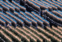 Владимир Путин и мощь Т-90М на параде Победы на Красной площади vladimir putin i moshh t90m na parade pobedy na krasnoj ploshhadi-ekbonline-ru-174678725700-0