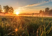 Никита Гусятник объясняет, как сохранить семейное счастье 10 июня nikita gusyatnik obyasnyaet kak sohranit semejnoe schaste 10 iyunya-ekbonline-ru-0