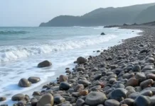 Пластиковая ржавчина на Мадейре и в Бразилии предлагает новый взгляд на будущее побережий plastikovaya rzhavchina na madejre i v brazilii predlagaet novyj vzglyad na budushhee poberezhij-ekbonline-ru-174889111400-0