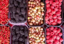 Сергей Собянин и Маргарита Королева: сезон ягод на московских ярмарках открыт! sergej sobyanin i margarita koroleva sezon yagod na moskovskih yarmarkah otkryt-ekbonline-ru-0