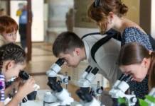 На ВДНХ пройдет увлекательный биологический фестиваль БукашкиФест от музея Тимирязева na vdnh projdet uvlekatelnyj biologicheskij festival bukashkifest ot muzeya timiryazeva-ekbonline-ru-0