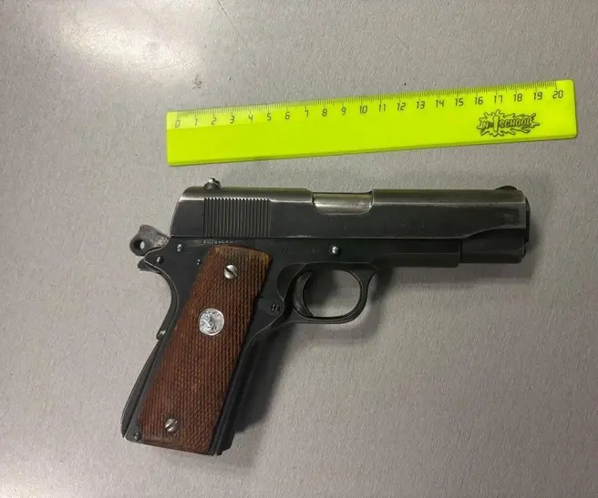 Во Внуково задеражали россиянку за перевозку огнестрельного оружия | Источник: ФТС России / T.me