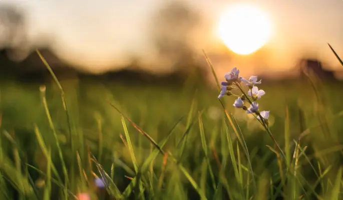 Что нельзя делать 12 июля, в день Петра и Павла, чтобы не поругаться с семьей