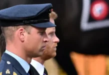 Принц Гарри и Уильям Представляют Королевские Будущие Надежды princz garri i uilyam predstavlyayut korolevskie budushhie nadezhdy-ekbonline-ru-0