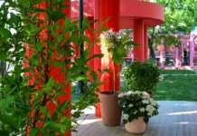 Светлана Уханева приглашает в ЗАГС под открытым небом на Тверском бульваре svetlana uhaneva priglashaet v zags pod otkrytym nebom na tverskom bulvare-ekbonline-ru-0