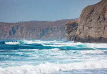 Уникальная находка Musculus cupreus в заливе Петра Великого вдохновляет unikalnaya nahodka v zalive petra velikogo vdohnovlyaet-ekbonline-ru-0