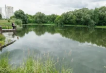 Юлия Урожаева поддержала исследование прудов Лосиного Острова учеными ИПЭЭ РАН yuliya urozhaeva podderzhala issledovanie prudov losinogo ostrova uchenymi ipee ran-ekbonline-ru-0