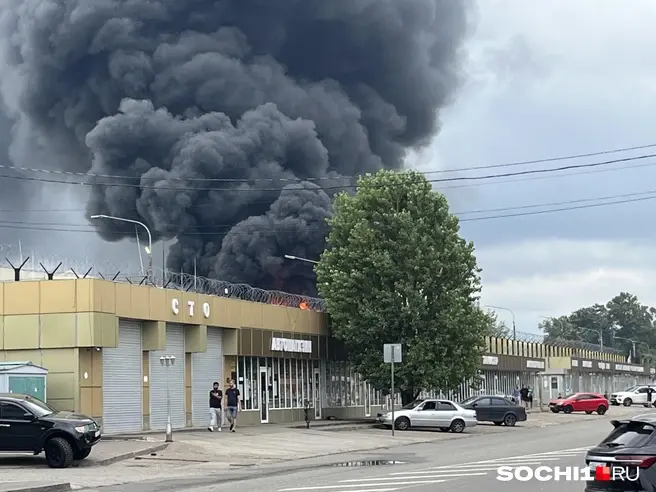 Огонь разгорелся с новой силой | Источник: Анна Грицевич / SOCHI1.RU