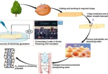 Экологичный энергетический генератор из миндаля, фундука, пекана и грецкого ореха ekologichnyj energeticheskij generator iz mindalya funduka pekana i greczkogo oreha-ekbonline-ru-0