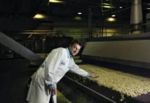 Генпрокуратура и Игорь Краснов требуют признать КДВ и владельцев «Кириешек» экстремистами genprokuratura i igor krasnov trebuyut priznat kdv i vladelczev kirieshek ekstremistami-ekbonline-ru-0