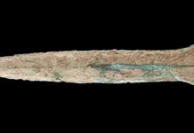 Майк Бенер нашел кинжал Бронзового Века близ Нордхаузена в Тюрингии majk bener nashel kinzhal bronzovogo veka bliz nordhauzena v tyuringii-ekbonline-ru-0