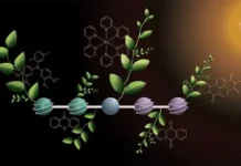 Оливер Венгер и Базельский университет разрабатывают молекулу для фотосинтеза oliver venger i bazelskij universitet razrabatyvayut molekulu dlya fotosinteza-ekbonline-ru-0