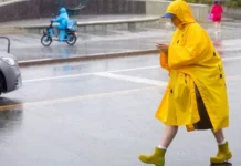 Оптимистичный прогноз погоды в Москве на август предсказывает тепло optimistichnyj prognoz pogody v moskve na avgust predskazyvaet teplo-ekbonline-ru-0