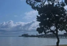 Сухум и Абхазия предлагают прогулки по Набережной Махаджиров и питомник обезьян suhum i abhaziya predlagayut progulki po naberezhnoj mahadzhirov i pitomnik obezyan-ekbonline-ru-0