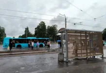 Светлана Бессараб о перспективах единых льготных проездных для всех россиян svetlana bessarab o perspektivah edinyh lgotnyh proezdnyh dlya vseh rossiyan-ekbonline-ru-0