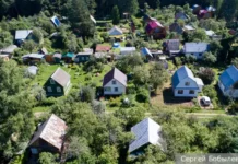 Ульяна Никонова делится советами о тихом комфорте в СНТ на дачах ulyana nikonova delitsya sovetami o tihom komforte v snt na dachah-ekbonline-ru-0