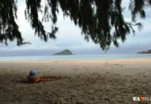 Алексей Цыденов делится позитивными трендами и новостями из России и мира aleksej czydenov delitsya pozitivnymi trendami i novostyami iz rossii i mira-ekbonline-ru-0