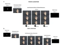 Центр нейроэкономики НИУ ВШЭ совместно с Лозаннским госпиталем открывает проект о зеркальных нейронах czentr nejroekonomiki niu vshe sovmestno s lozannskim gospitalem otkryvaet proekt o zerkalnyh nejronah-ekbonline-ru-0