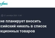 Евросоюз сохраняет поставки никеля из России, что вселяет оптимизм в «Норникель» evrosoyuz sohranyaet postavki nikelya iz rossii chto vselyaet optimizm v nornikel-ekbonline-ru-0