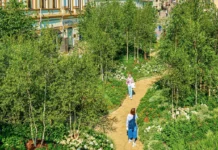 Фестиваль «Сады и цветы» в Москве создает яркие оазисы до осени festival sady i czvety v moskve sozdaet yarkie oazisy do oseni-ekbonline-ru-0