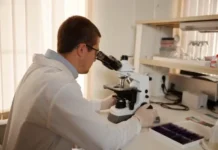 Исследования УрФАНИЦ УрО РАН и РНФ определяют путь к долголетию животных в России issledovaniya urfanicz uro ran i rnf opredelyayut put k dolgoletiyu zhivotnyh v rossii-ekbonline-ru-0