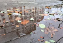 «Метео» прогнозирует задержку бабьего лета в Москве и Санкт-Петербурге meteo prognoziruet zaderzhku babego leta v moskve i sanktpeterburge-ekbonline-ru-0