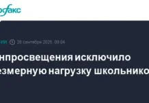 Минпросвещения и Максим Костенко гарантируют комфортную учебу школьникам minprosveshheniya i maksim kostenko garantiruyut komfortnuyu uchebu shkolnikam-ekbonline-ru-0