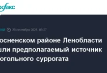 МВД России выявило источник суррогатного алкоголя в Тосненском районе mvd rossii vyyavilo istochnik surrogatnogo alkogolya v tosnenskom rajone-ekbonline-ru-0