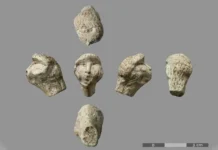 Новая статуэтка из Амьен-Ренанкур 1 вдохновляет на изучение граветтской культуры novaya statuetka iz amenrenankur 1 vdohnovlyaet na izuchenie gravettskoj kultury-ekbonline-ru-0