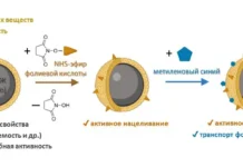РНФ и ИБХФ РАН представили наночастицы для точной диагностики и терапии опухолей светом rnf i ibhf ran predstavili nanochasticzy dlya tochnoj diagnostiki i terapii opuholej svetom-ekbonline-ru-0