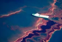 uchenye reu im plehanova i ran predstavili innovaczionnyj biorazlagaemyj sorbent nefti-ekbonline-ru-0