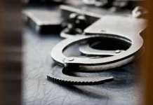 УМВД Приморья и ГУ уголовного розыска МВД России задержали преступника спустя 25 лет umvd primorya i gu ugolovnogo rozyska mvd rossii zaderzhali prestupnika spustya 25 let-ekbonline-ru-0