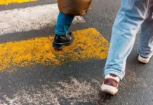 Во Владивостоке по планам Шестакова появятся 38 новых переходов у школ от ГАИ vo vladivostoke po planam shestakova poyavyatsya 38 novyh perehodov u shkol ot gai-ekbonline-ru-0