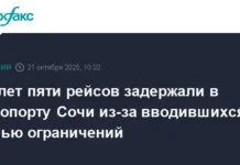 Аэропорт Сочи и ведущие авиалинии стабилизируют расписание после задержек ночью aeroport sochi i vedushhie avialinii stabiliziruyut raspisanie posle zaderzhek nochyu-ekbonline-ru-0