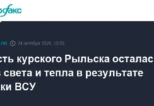Александр Хинштейн сообщил об оперативном восстановлении энергоснабжения в Рыльске aleksandr hinshtejn soobshhil ob operativnom vosstanovlenii energosnabzheniya v rylske-ekbonline-ru-0