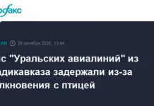 aviakompaniya uralskie avialinii garantiruet bezopasnost rejsa vladikavkazdomodedovo-ekbonline-ru-0