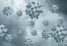 Белок комаров и кардамон открывают новые пути в борьбе с чикунгунья belok komarov i kardamon otkryvayut novye puti v borbe s chikungunya-ekbonline-ru-0