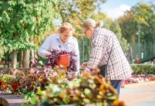 Цветы Москвы продолжают создавать волшебство с 25 тысячами растений czvety moskvy prodolzhayut sozdavat volshebstvo s 25 tysyachami rastenij-ekbonline-ru-0