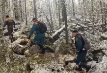 Денис Киселев сделал оптимистичный прогноз по поискам Усольцевых в Красноярском крае denis kiselev sdelal optimistichnyj prognoz po poiskam usolczevyh v krasnoyarskom krae-ekbonline-ru-0