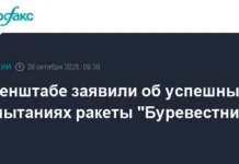 Генштаб сообщил Владимиру Путину о успешных испытаниях "Буревестника" genshtab soobshhil vladimiru putinu o uspeshnyh ispytaniyah burevestnika-ekbonline-ru-0