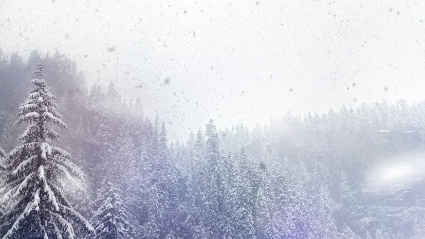 Снегопады обрушатся на Челябинскую область в начале ноября