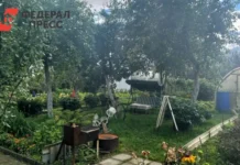 gosudarstvennaya duma i nikita chaplin rasskazali o nalogovyh lgotah dlya dachnikov-ekbonline-ru-0