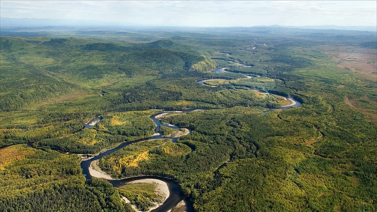 Психолог Жданова рассказала, что Усольцевы могли пойти в тайгу под гипнозом