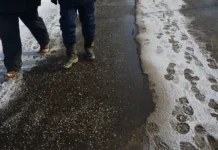 Как исследования ПНИПУ помогают сохранить экосистемы у дорог в Перми kak issledovaniya pnipu pomogayut sohranit ekosistemy u dorog v permi-ekbonline-ru-0