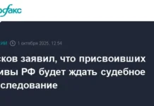 Кремль предупреждает о судебных разбирательствах из-за присвоения активов kreml preduprezhdaet o sudebnyh razbiratelstvah izza prisvoeniya aktivov-ekbonline-ru-0