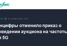 Минцифры улучшает условия для внедрения 5G с акцентом на LTE и новые подходы minczifry uluchshaet usloviya dlya vnedreniya 5 s akczentom na i novye podhody-ekbonline-ru-0