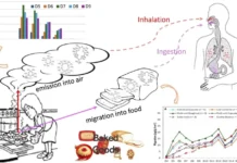 Министерство здравоохранения Канады оценивает безопасность силиконовых форм ministerstvo zdravoohraneniya kanady oczenivaet bezopasnost silikonovyh form-ekbonline-ru-0