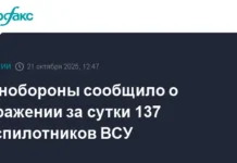 minoborony uspeshno likvidirovalo za sutki 137 bespilotnikov vsu-ekbonline-ru-0